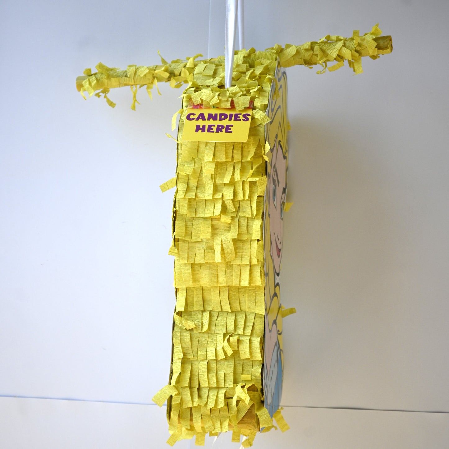 Frozen Pull-String Piñata - Semi-Handcrafted Party Decoration